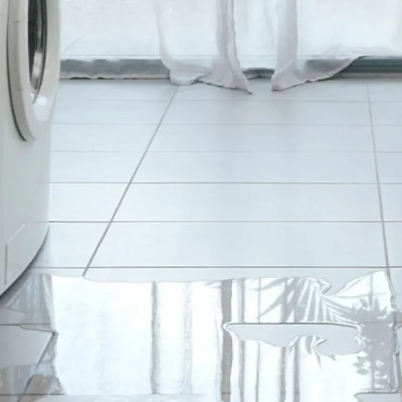 Appliance Leak Cleanup in Georgetown, SC